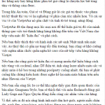 Bài về VietjetAir của Nguyễn Ngọc Long Blackmoon đăng trên Dân Trí